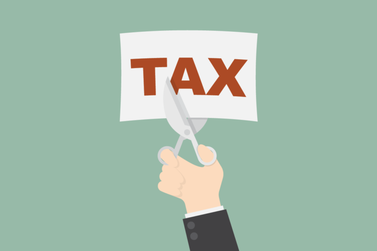 What are Tax Credits?